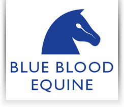 Bluebloodstock